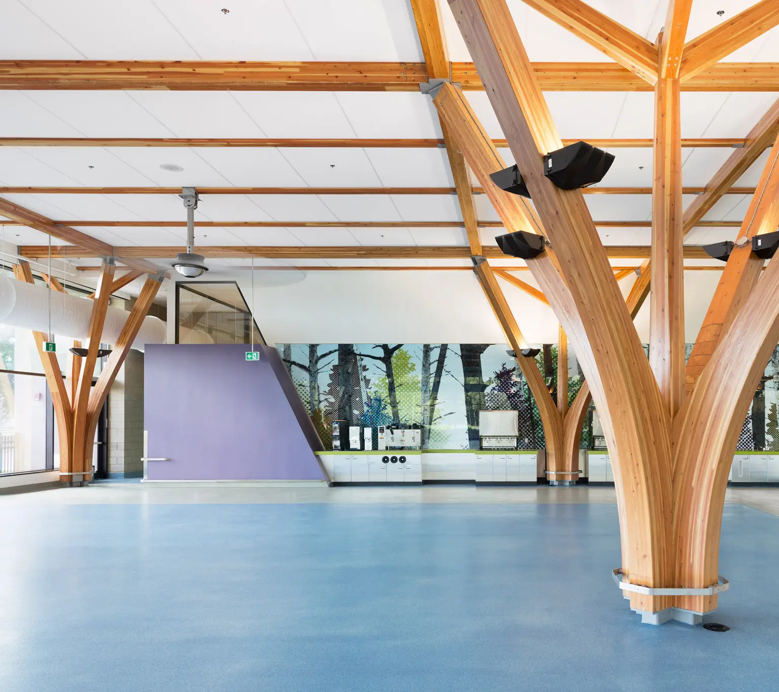 Sustainability Practices for Construction Managers