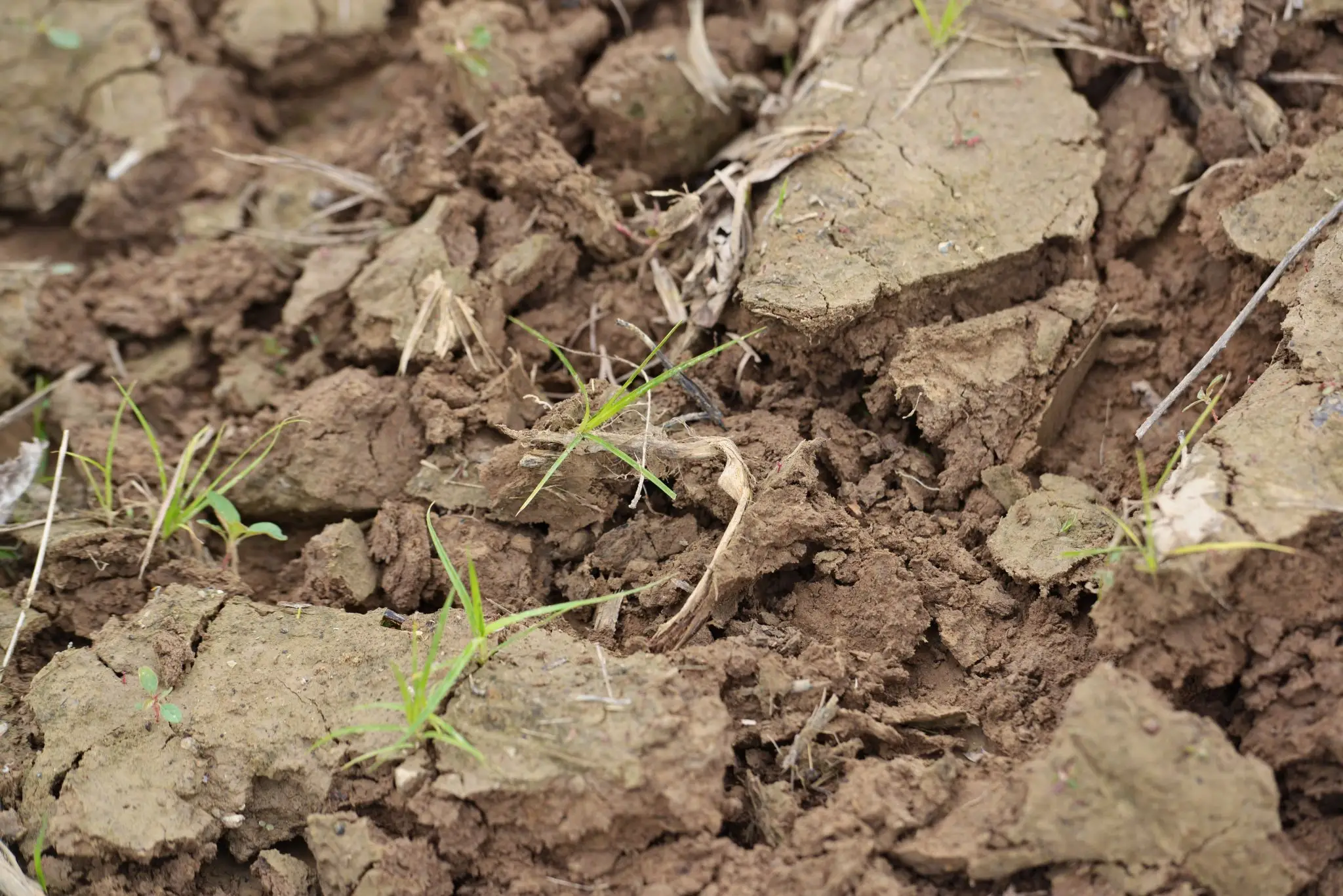 Soil Characteristics